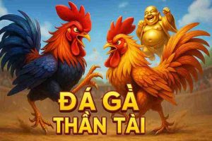 Đá Gà Thần Tài FLY88 - Trải Nghiệm Đỉnh Cao